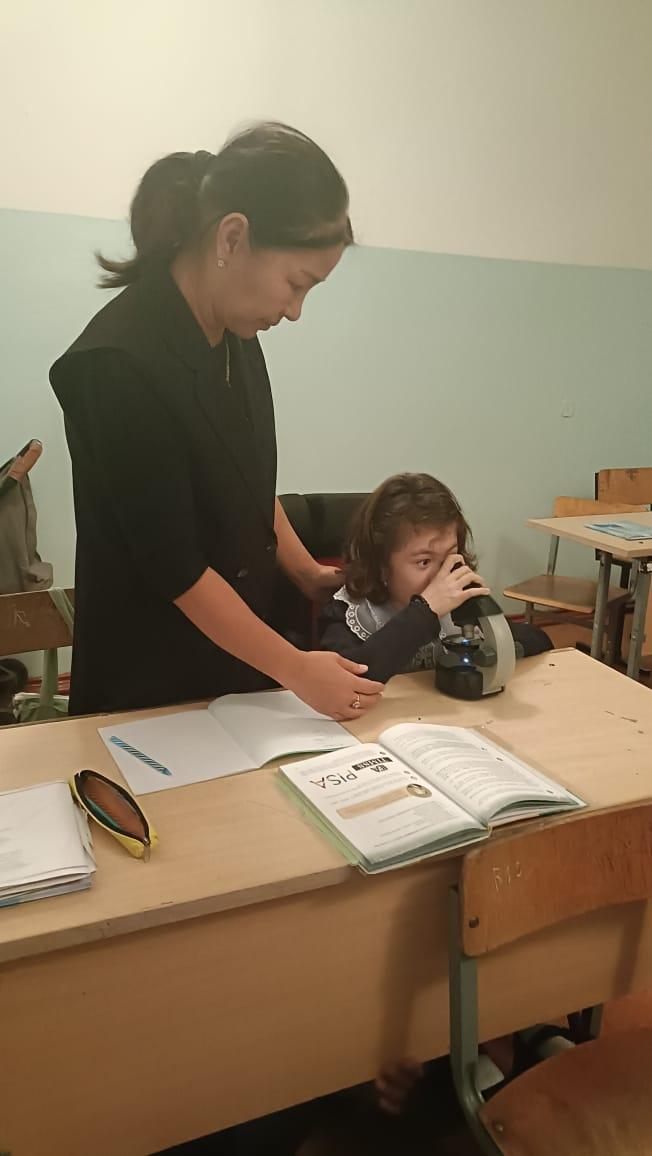 Педагог-ассистентің "Ерекше білім беру қажет ететін оқушылармен істелген жұмысы"